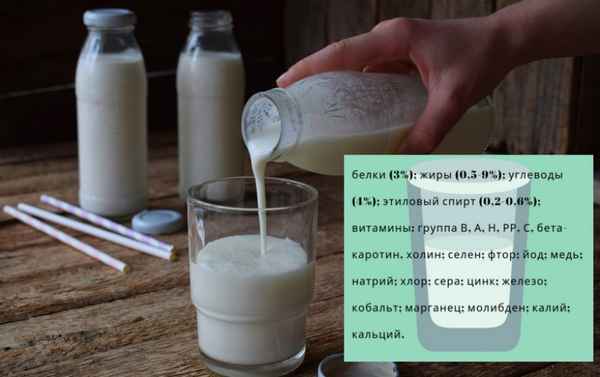 Особенности подкормки гортензии кефиром