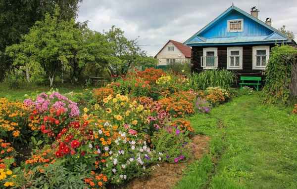 Мама всегда сажала около дома 5 растений: говорила, что они защищают от сглаза и недобрых людей