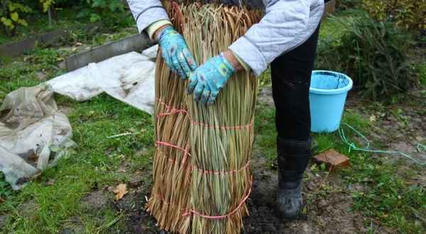 8 подручных материалов, которые идеально подходят для укрытия цветов: и согреют, и не навредят