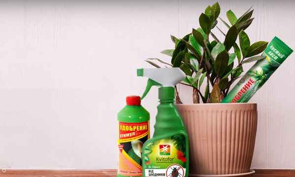 Удобрения от Kvitofor: На все случаи «травяной» жизни