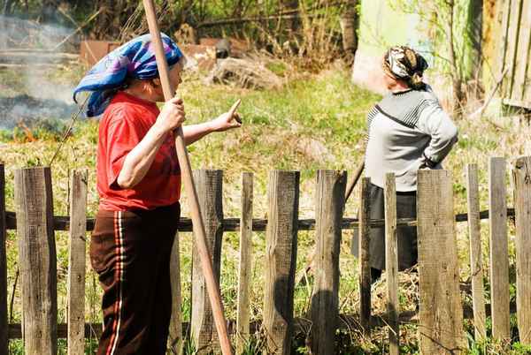 Новый сосед по даче заходит на участок как к себе домой: а вы разрешаете так делать