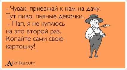 «Смотри, Людка, как-нибудь приедешь, а дача твоя сгорела»: не могу утихомирить буйную соседку