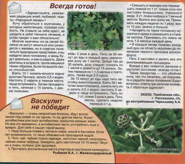 Описание гриба молочая, особенности применения и как правильно приготовить