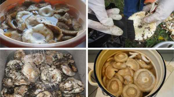 Нужно ли вымачивать грузди перед засолкой