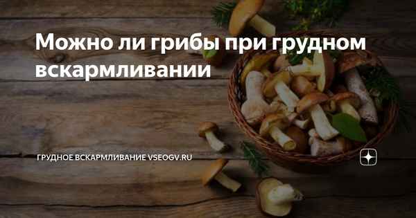 Польза и вред лисичек при грудном вскармливании