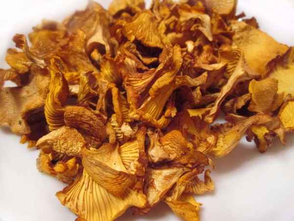 Как использовать сушёные лисички, от чего помогают