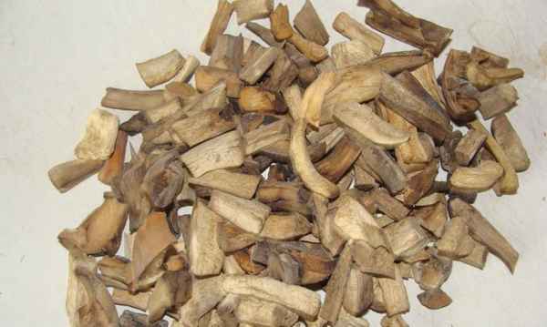 Сушка подберёзовиков в домашних условиях: существующие способы