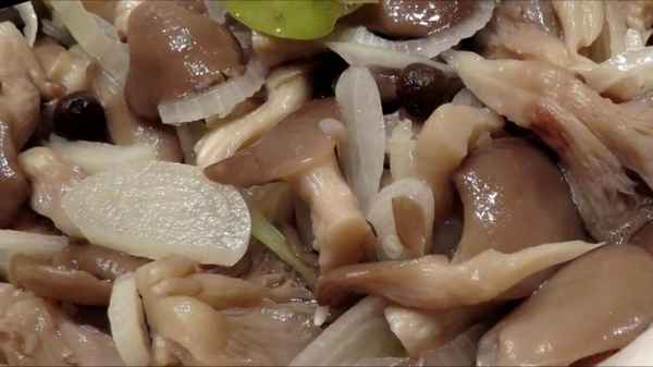 Способы засолки вешенок