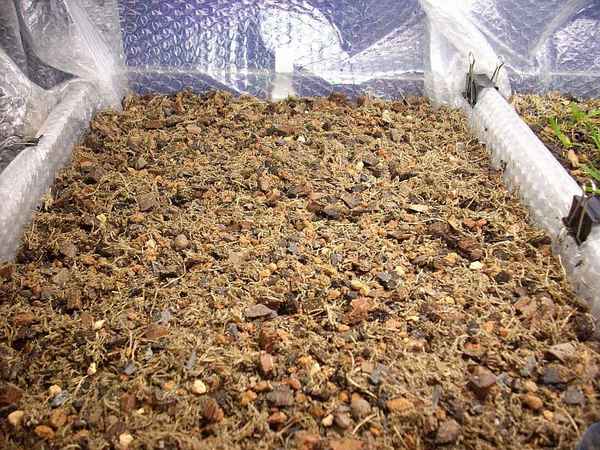 Подготовка субстрата для выращивания вешенок