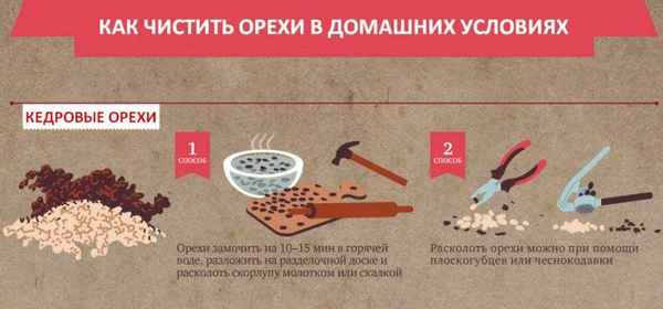 Как правильно почистить кедровые орехи в домашних условиях