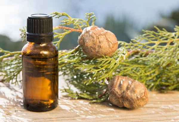 Применение кипарисового масла в различных сферах