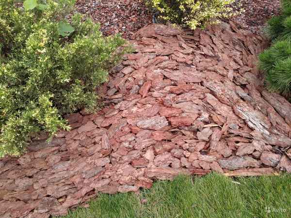 Особенности мульчирования корой лиственницы