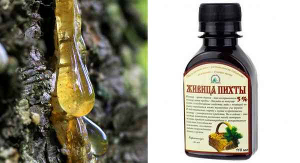 Применение пихтовой живицы в медицине и косметологии