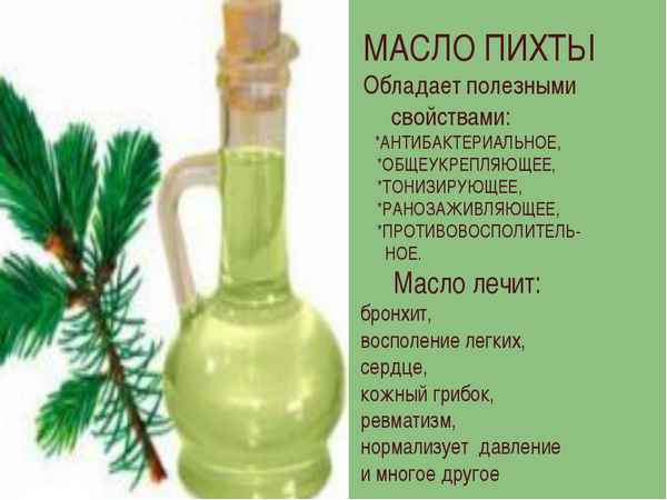 Лечебные свойства и применение пихтового масла, противопоказания
