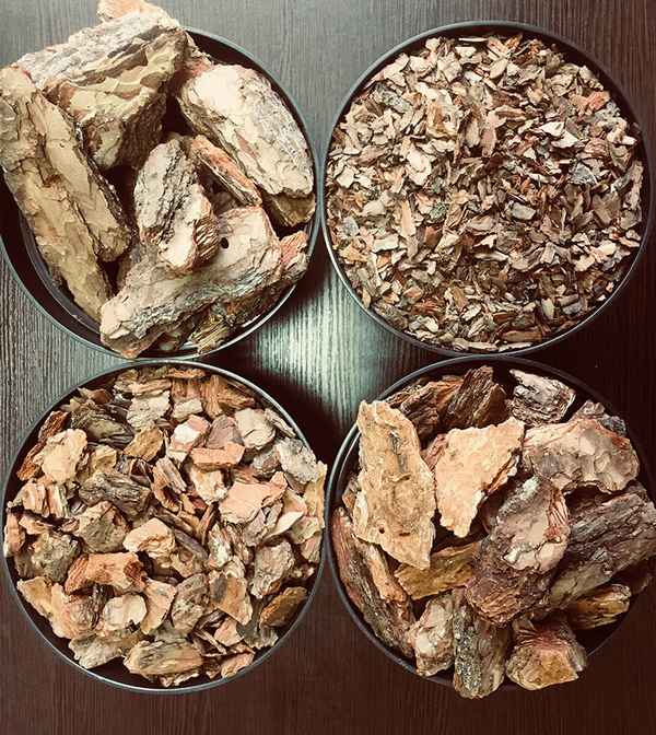 Применение и польза сосновой коры