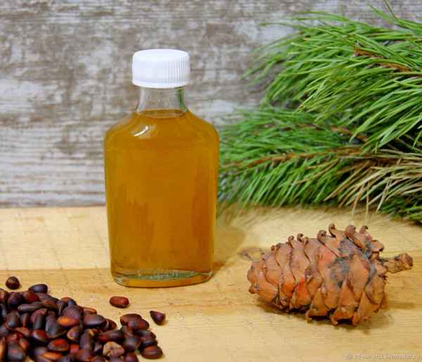 Польза и вред кедровой живицы на масле для организма