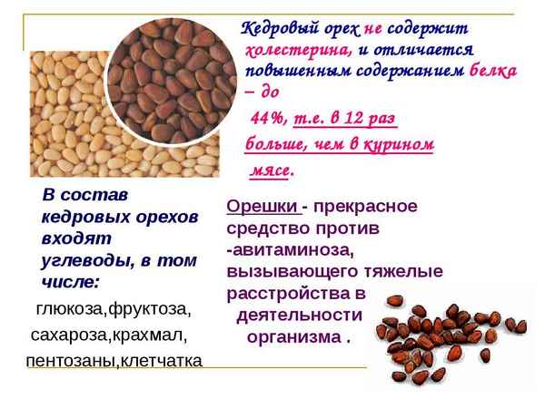Употрeбление кедровых орехов при беременности