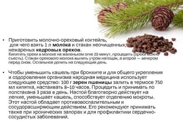 Употрeбление кедровых орехов при грудном вскармливании