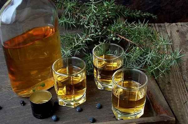 Польза и вред алкогольных напитков из можжевельника и особенности их приготовления