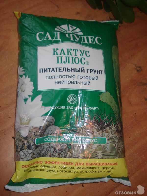 Какая земля подойдёт для денежного дерева?