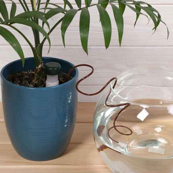 Капельный полив для комнатных растений своими руками