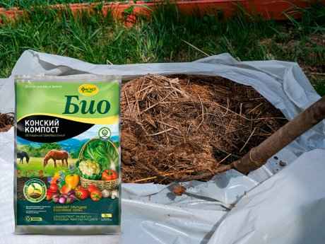 Не только полезный, но и вредный: компост в огороде