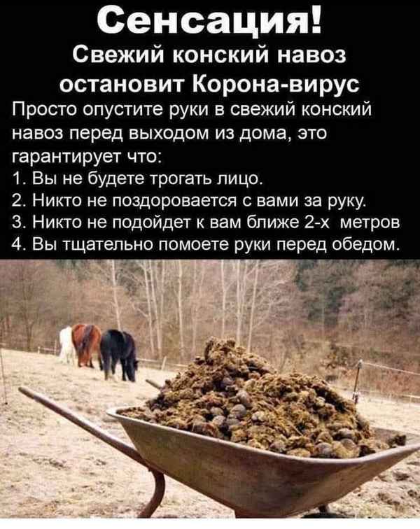 Забудьте про навоз! Простая и выгодная замена