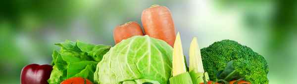 «Полевая кухня»: как приготовить плодородную почвосмесь для выращивания различных овощей