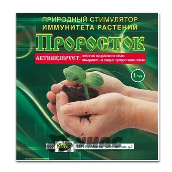 Семена прорастают за несколько часов! Мощные натуральные стимуляторы роста