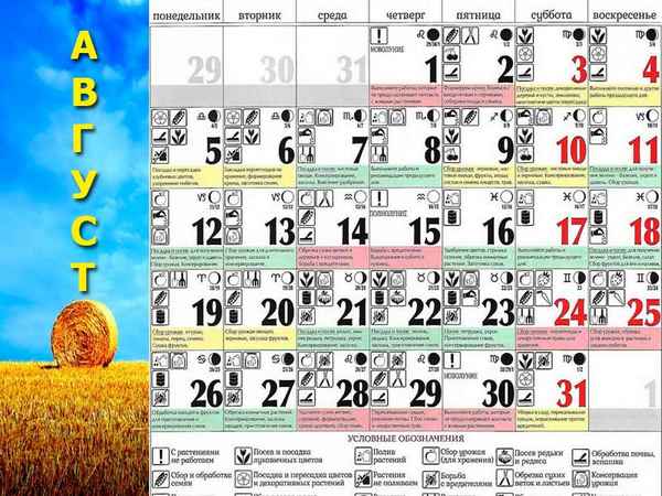 Лунный посевной календарь на август 2019 года