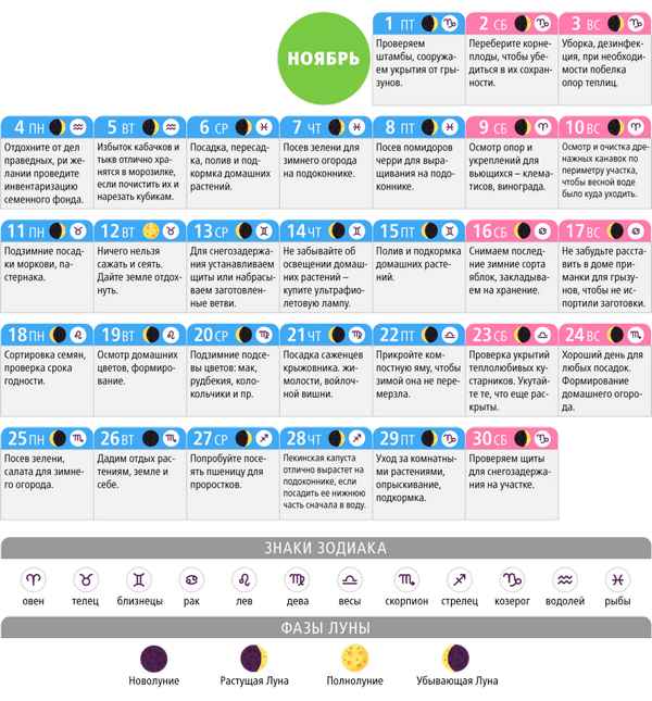 Особенности лунного календаря садовода и огородника на ноябрь 2019 года