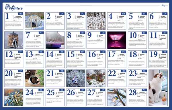 Лунный календарь огородника и садовода на февраль 2019 года