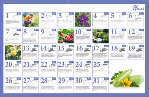 Лунный посевной календарь для огородника на июль 2019 года