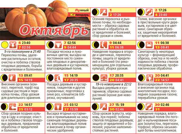 Когда солить капусту по лунному календарю в ноябре?