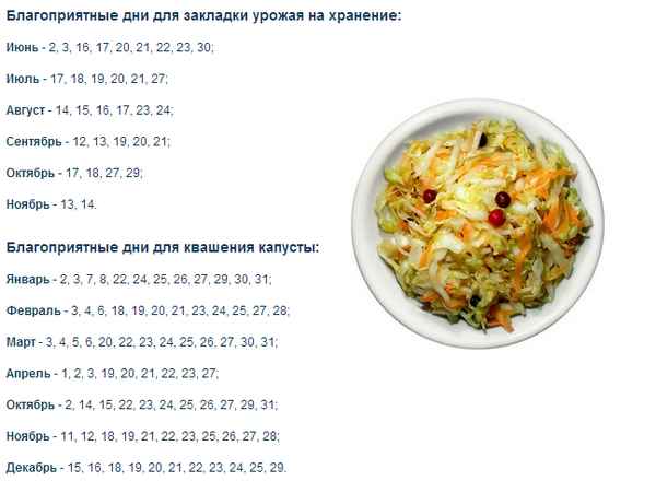 Особенности засолки капусты по лунному календарю в октябре 2019