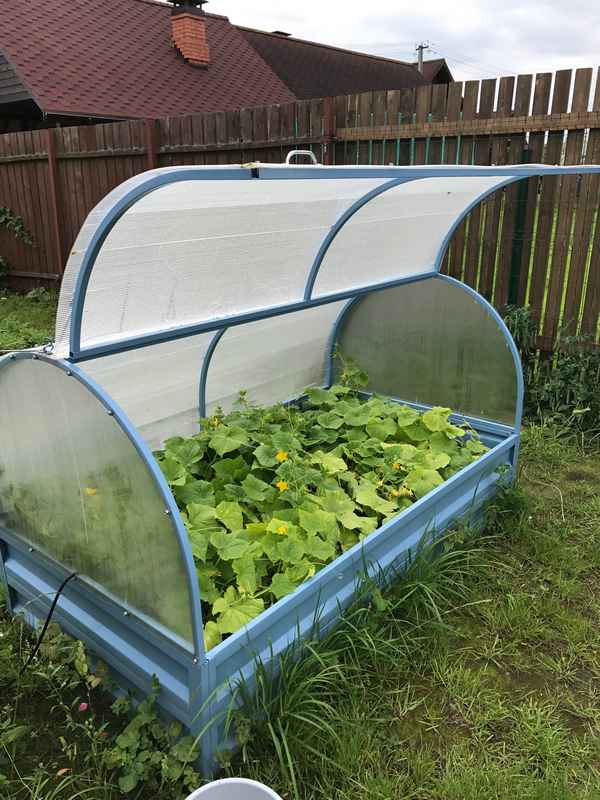 Как сделать закрытые грядки-парники