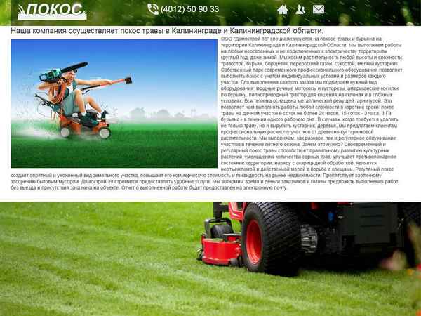 Правила стрижки газона, сроки и нормы покоса