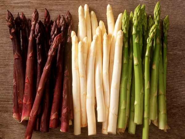 Спаржа белая: выращивание и уход, полезные свойства