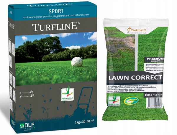 Состав травосмеси для спортивного газона, посадка и уход