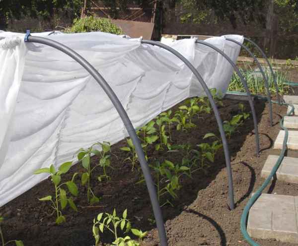 Как сделать парники из дуг с укрывным материалом своими руками