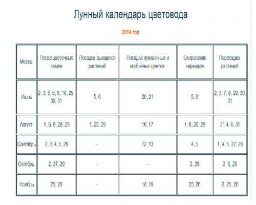 Лунный календарь цветовода на ноябрь 2019 года