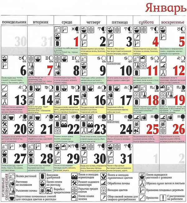 Благоприятные дни для садово-огородных работ в январе 2019 года