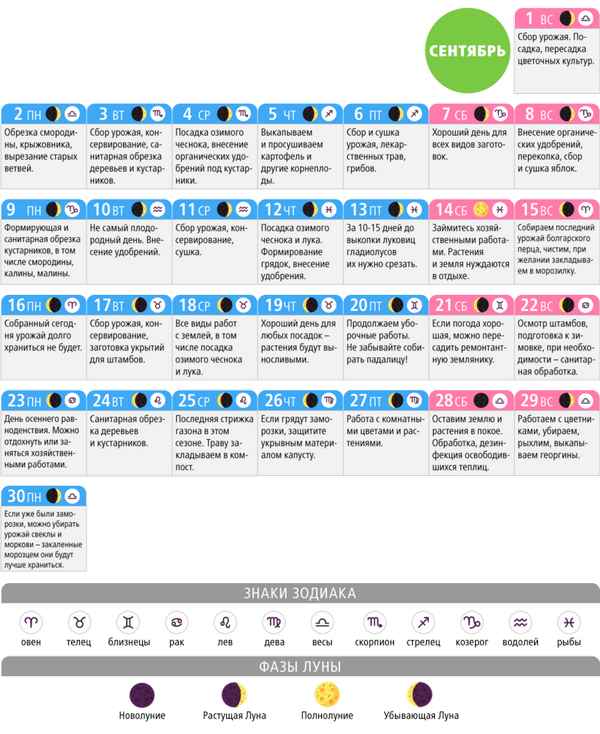 Особенности лунного посевного календаря на сентябрь 2019 года