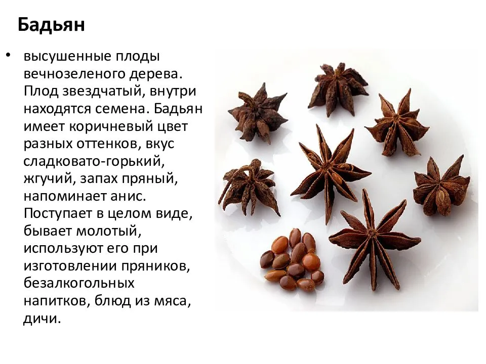 Что такое анис и какие у него особенности?