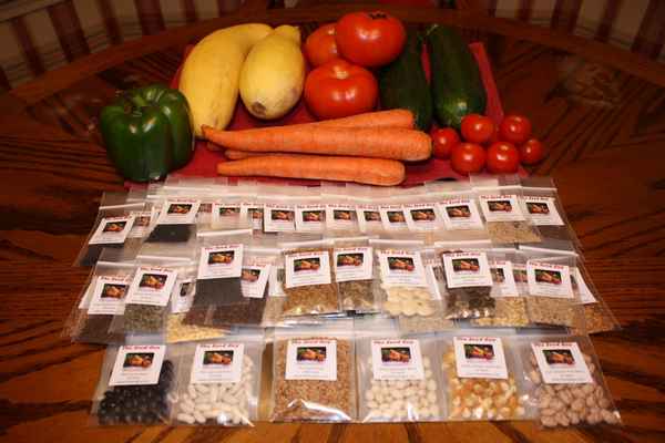 Как правильно хранить семена в домашних условиях