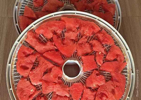 Как сушить арбуз в электросушилке?