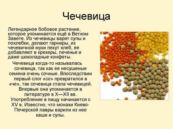 Чечевица — одна из бобовых: внешний вид, хаpaктеристики