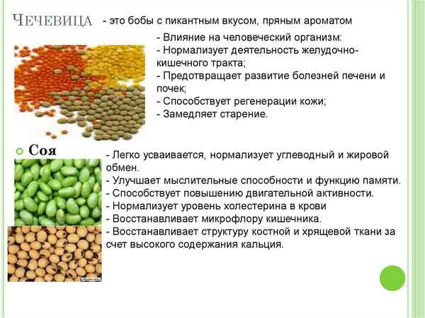 Красная и зелёная чечевица: основные отличия, вкусовые особенности