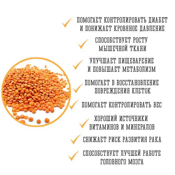 Чёрная чечевица: полезные свойства и противопоказания для организма человека