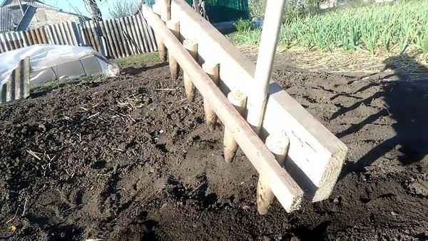 Как сделать сажалку для чеснока своими руками